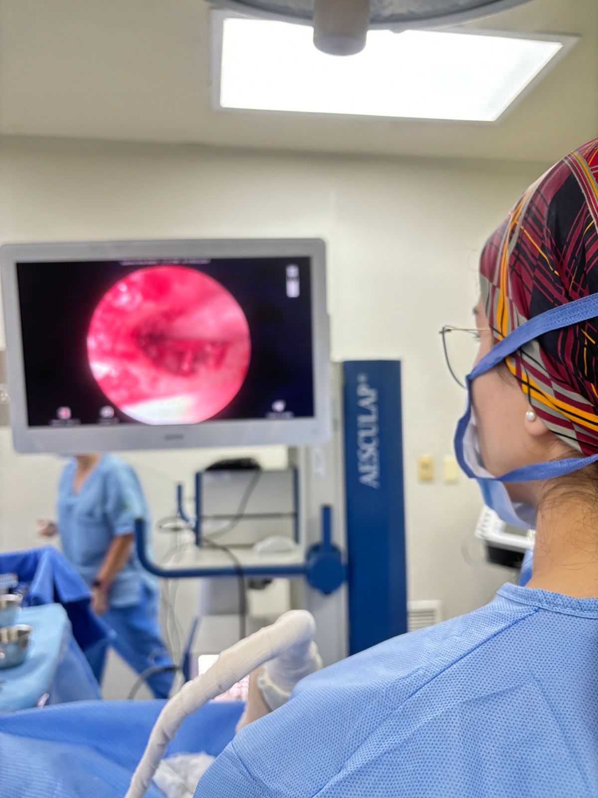 Visualización de endoscopía en quirófano
